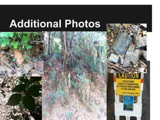 Additional Photos
 