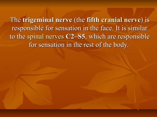 TheThe trigeminal nervetrigeminal nerve (the(the fifthfifth cranialcranial nervenerve) is) is
responsible for sensation in the face. It is similarresponsible for sensation in the face. It is similar
to theto the spinalspinal nervesnerves C2–S5C2–S5, which are responsible, which are responsible
for sensation in the rest of the body.for sensation in the rest of the body.
 