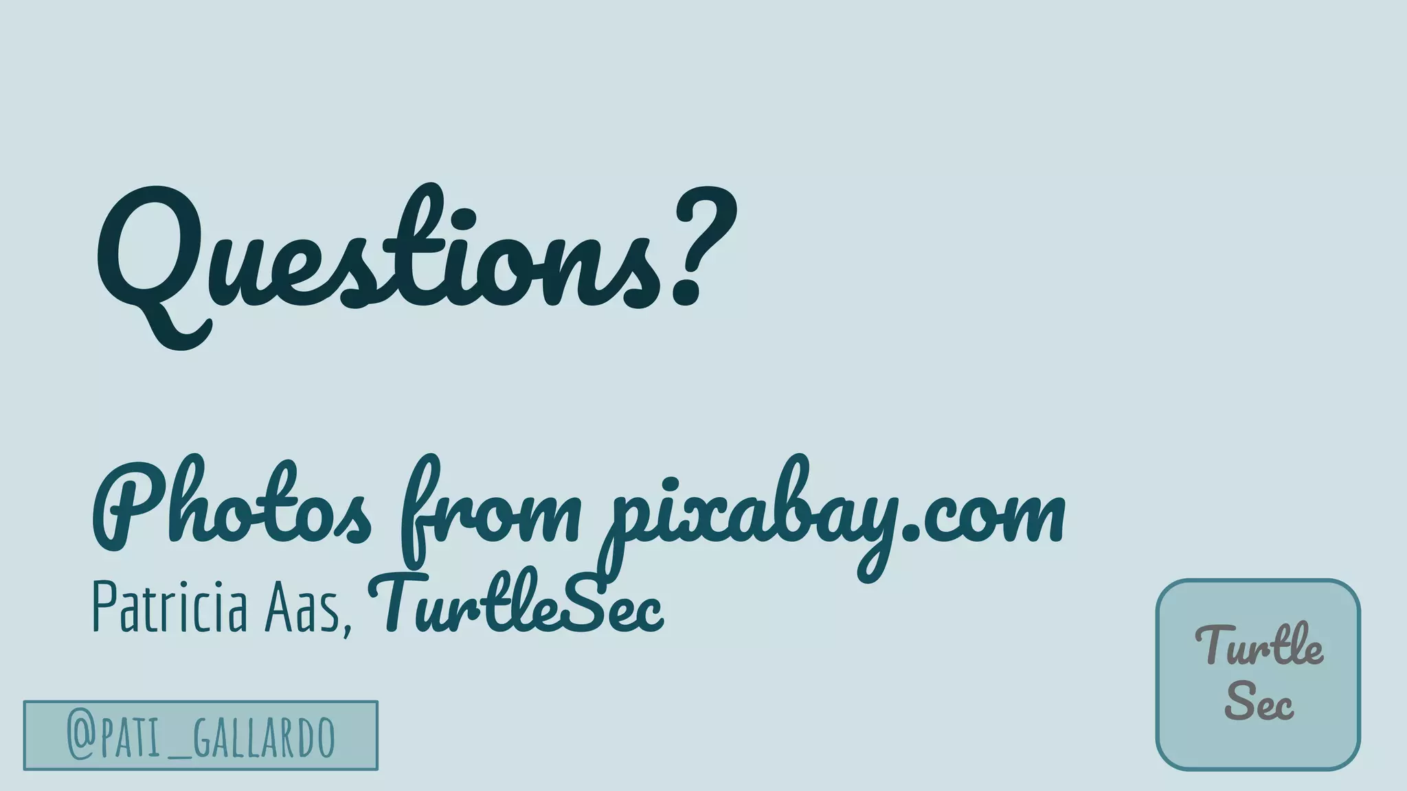 @pati_gallardo
Turtle
Sec
Questions?
Photos from pixabay.com
Patricia Aas, TurtleSec
 