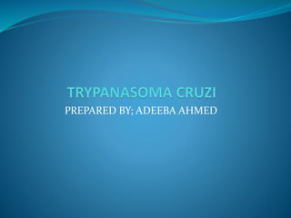 PREPARED BY; ADEEBA AHMED
 