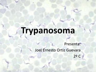 Trypanosoma Presenta:  Joel Ernesto Ortiz Guevara 2º C 