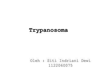 Trypanosoma

Oleh : Siti Indriani Dewi
1122060075

 