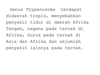 Genus Trypanosoma terdapat
didaerah tropis, menyebabkan
penyakit tidur di daerah Afrika
Tengah, nagana pada ternak di
Afrika, Surra pada ternak di
Asia dan Afrika dan sejumlah
penyakit lainnya pada ternak.

 