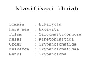 klasifikasi ilmiah
Domain
Kerajaan
Filum
Kelas
Order
Keluarga
Genus

:
:
:
:
:
:
:

Eukaryota
Excavata
Sarcomastigophora
Kinetoplastida
Trypanosomatida
Trypanosomatidae
Trypanosoma

 