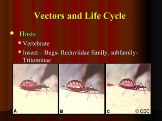Vectors and Life CycleVectors and Life Cycle
 HostsHosts
VertebrateVertebrate
Insect – Bugs- Reduviidae family, subfamily-Insect – Bugs- Reduviidae family, subfamily-
TritominaeTritominae
 