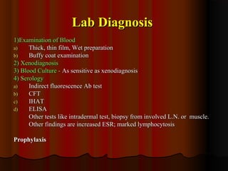 Lab DiagnosisLab Diagnosis
1)Examination of Blood1)Examination of Blood
a)a) Thick, thin film, Wet preparationThick, thin film, Wet preparation
b)b) Buffy coat examinationBuffy coat examination
2) Xenodiagnosis2) Xenodiagnosis
3) Blood Culture -3) Blood Culture - As sensitive as xenodiagnosisAs sensitive as xenodiagnosis
4) Serology4) Serology
a)a) Indirect fluorescence Ab testIndirect fluorescence Ab test
b)b) CFTCFT
c)c) IHATIHAT
d)d) ELISAELISA
Other tests like intradermal test, biopsy from involved L.N. or muscle.Other tests like intradermal test, biopsy from involved L.N. or muscle.
Other findings are increased ESR; marked lymphocytosisOther findings are increased ESR; marked lymphocytosis
ProphylaxisProphylaxis
 
