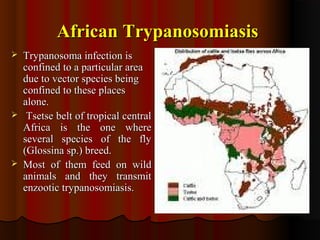 African TrypanosomiasisAfrican Trypanosomiasis
 Trypanosoma infection isTrypanosoma infection is
confined to a particular areaconfined to a particular area
due to vector species beingdue to vector species being
confined to these placesconfined to these places
alone.alone.
 Tsetse belt of tropical centralTsetse belt of tropical central
Africa is the one whereAfrica is the one where
several species of the flyseveral species of the fly
(Glossina sp.) breed.(Glossina sp.) breed.
 Most of them feed on wildMost of them feed on wild
animals and they transmitanimals and they transmit
enzootic trypanosomiasis.enzootic trypanosomiasis.
 