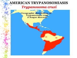 AMERICAN TRYPANOSOMIASIS
Trypanosoma cruzi
 