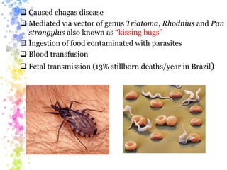  Caused chagas disease
 Mediated via vector of genus Triatoma, Rhodnius and Pan
strongylus also known as “kissing bugs”
 Ingestion of food contaminated with parasites
 Blood transfusion
 Fetal transmission (13% stillborn deaths/year in Brazil)
 