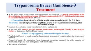 trypanosoma-pptx