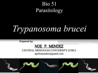 Bio 51
Parasitology
Trypanosoma brucei
Prepared by:
NOE P. MENDEZ
CENTRAL MINDANAO UNIVERSITY (CMU)
npolomendez@gmail.com
 