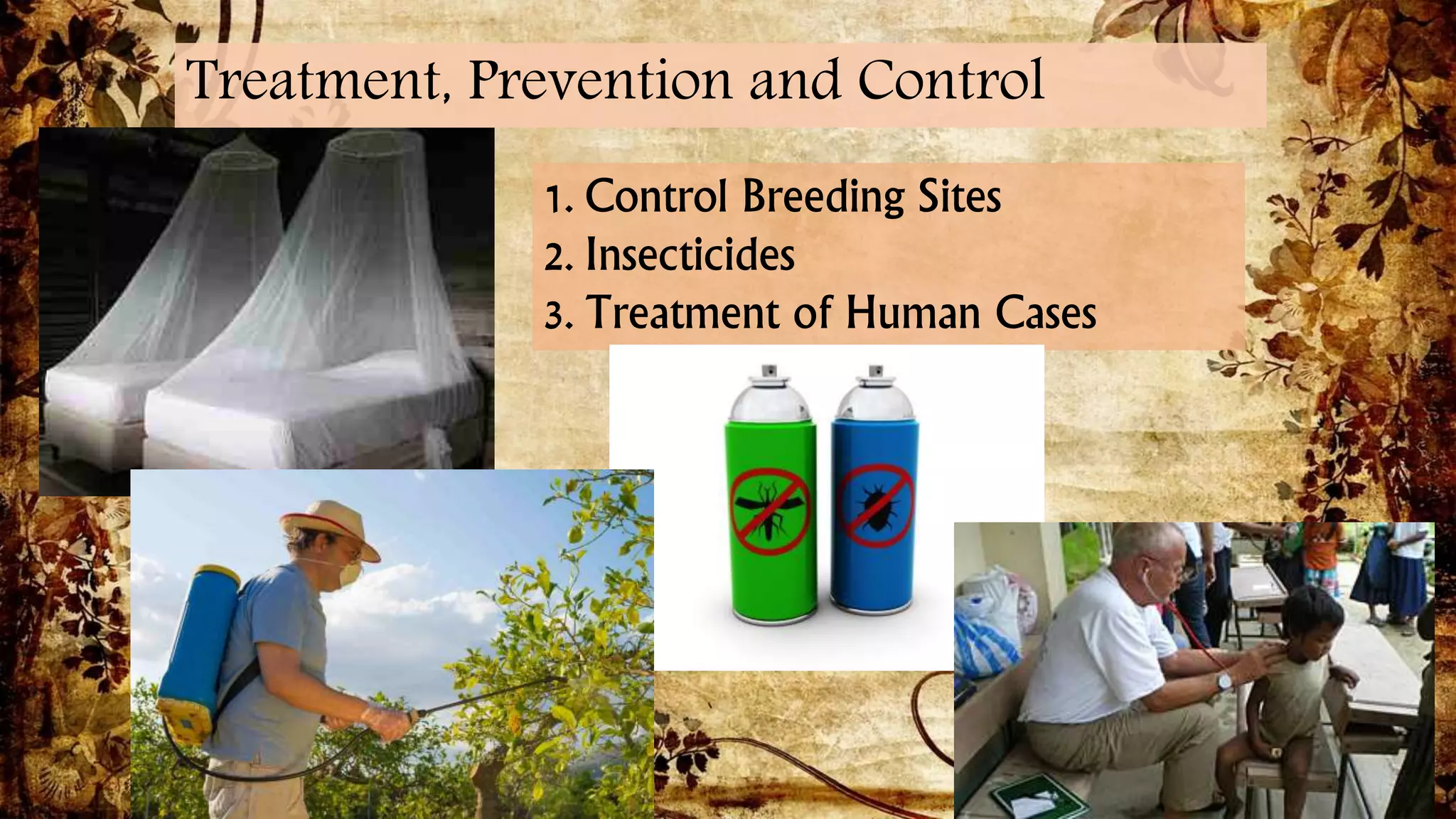 Trypanosoma brucei gambiense | PPTX