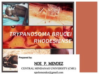 TRYPANOSOMA BRUCEI
RHODESIENSE
Prepared by:
NOE P. MENDEZ
CENTRAL MINDANAO UNIVERSITY (CMU)
npolomendez@gmail.com
 