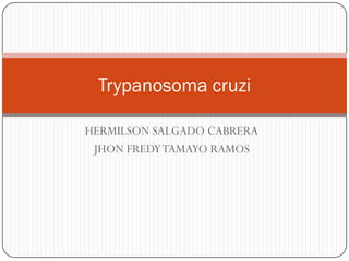 Trypanosoma cruzi
HERMILSON SALGADO CABRERA
JHON FREDY TAMAYO RAMOS

 