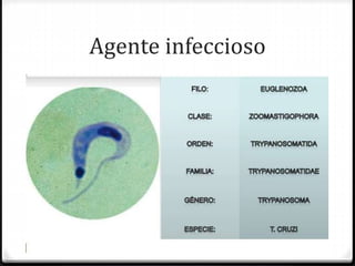 Agente infeccioso
 