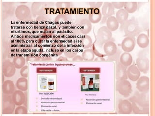 TRATAMIENTO
La enfermedad de Chagas puede
tratarse con benznidazol, y también con
nifurtimox, que matan al parásito.
Ambos medicamentos son eficaces casi
al 100% para curar la enfermedad si se
administran al comienzo de la infección
en la etapa aguda, incluso en los casos
de transmisión congénita
 