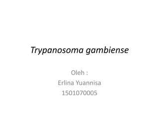 Trypanosoma gambiense
Oleh :
Erlina Yuannisa
1501070005
 
