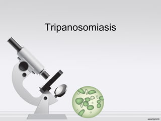 Tripanosomiasis
 