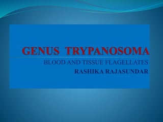BLOOD AND TISSUE FLAGELLATES
RASHIKA RAJASUNDAR
 