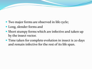  Two major forms are observed in life cycle;
 Long, slender forms and
 Short stumpy forms which are infective and taken up
by the insect vector.
 Time taken for complete evolution in insect is 20 days
and remain infective for the rest of its life span.
 