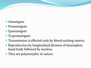  Amastigote
 Promastigote
 Epimastigote
 Trypomastigote
 Transmission is effected only by blood sucking insects.
 Reproduction by longitudinal division of kinetoplast,
basal body followed by nucleus.
 They are polymorphic in nature.
 