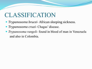 CLASSIFICATION
 Trypanosoma brucei- African sleeping sickness.
 Trypanosoma cruzi- Chagas’ disease.
 Trypanosoma rangeli- found in blood of man in Venezuela
and also in Colombia.
 