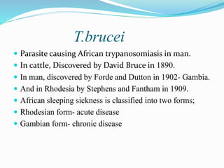 T.brucei
 Parasite causing African trypanosomiasis in man.
 In cattle, Discovered by David Bruce in 1890.
 In man, discovered by Forde and Dutton in 1902- Gambia.
 And in Rhodesia by Stephens and Fantham in 1909.
 African sleeping sickness is classified into two forms;
 Rhodesian form- acute disease
 Gambian form- chronic disease
 