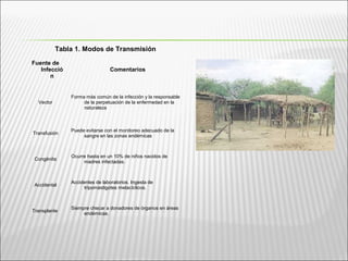 Tabla 1. Modos de Transmisión
Fuente de
Infecció
n
Comentarios
Vector
Forma más común de la infección y la responsable
de la perpetuación de la enfermedad en la
naturaleza
Transfusión
Puede evitarse con el monitoreo adecuado de la
sangre en las zonas endémicas
Congénita
Ocurre hasta en un 10% de niños nacidos de
madres infectadas.
Accidental
Accidentes de laboratorios. Ingesta de
tripomastigotes metacíclicos.
Transplante
Siempre checar a donadores de órganos en áreas
endémicas.
 
