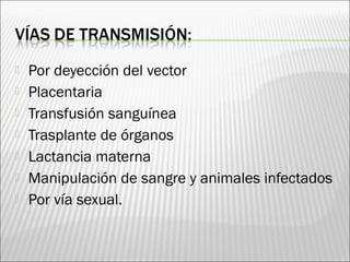  Por deyección del vector
 Placentaria
 Transfusión sanguínea
 Trasplante de órganos
 Lactancia materna
 Manipulación de sangre y animales infectados
 Por vía sexual.
 