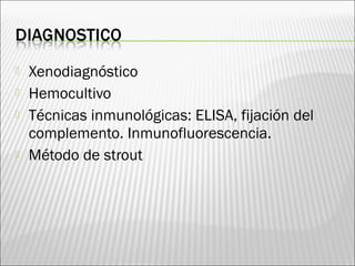  Xenodiagnóstico
 Hemocultivo
 Técnicas inmunológicas: ELISA, fijación del
complemento. Inmunofluorescencia.
 Método de strout
 