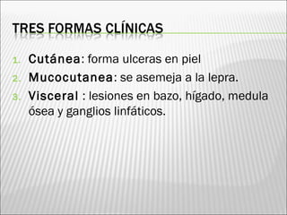 1. Cutánea: forma ulceras en piel
2. Mucocutanea: se asemeja a la lepra.
3. Visceral : lesiones en bazo, hígado, medula
ósea y ganglios linfáticos.
 
