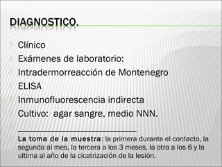  Clínico
 Exámenes de laboratorio:
 Intradermorreacción de Montenegro
 ELISA
 Inmunofluorescencia indirecta
 Cultivo: agar sangre, medio NNN.
 ________________________
 La toma de la muestra: la primera durante el contacto, la
segunda al mes, la tercera a los 3 meses, la otra a los 6 y la
ultima al año de la cicatrización de la lesión.
 