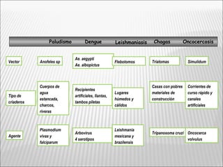 Anofeles sp
Ae. aegypti
Ae. albopictus
Flebotomos Triatomas SimulidumVector
Cuerpos de
agua
estancada,
charcos,
riveras
Recipientes
artificiales, llantas,
tambos piletas
Lugares
húmedos y
cálidos
Casas con pobres
materiales de
construcción
Corrientes de
curso rápido y
canales
artificiales
Tipo de
criaderos
Plasmodium
vivax y
falciparum
Arbovirus
4 serotipos
Leishmania
mexicana y
brazilensis
Tripanosoma cruzi Oncocerca
volvulus
Agente
Paludismo Dengue Leishmaniasis Chagas Oncocercosis
 