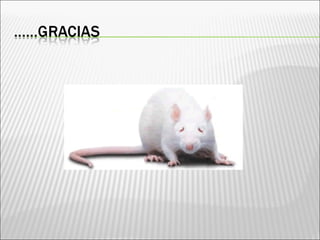 Trypanosoma y leishmania clase micro