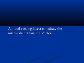 A blood sucking insect constitute theA blood sucking insect constitute the
intermediate Host and Vectorintermediate Host and Vector
 