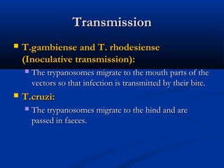 TransmissionTransmission
 T.gambiense and T. rhodesienseT.gambiense and T. rhodesiense
(Inoculative transmission):(Inoculative transmission):
 The trypanosomes migrate to the mouth parts of theThe trypanosomes migrate to the mouth parts of the
vectors so that infection is transmitted by their bite.vectors so that infection is transmitted by their bite.
 T.cruzi:T.cruzi:
 The trypanosomes migrate to the hind and areThe trypanosomes migrate to the hind and are
passed in faeces.passed in faeces.
 