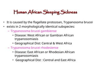 • It is caused by the flagellate protozoan, Trypanosoma brucei
• exists in 2 morphologically identical subspecies:
– Trypanosoma brucei gambiense
• Disease: West African or Gambian African
trypanosomiasis
• Geographical Dist: Central & West Africa
– Trypanosoma brucei rhodesiense
• Disease: East African or Rhodesian African
trypanosomiasis
• Geographical Dist : Central and East Africa
Human African Sleeping Sickness
Human African Sleeping Sickness
 