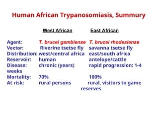 Human African Trypanosomiasis, Summury
West African East African
Agent: T. brucei gambiense T. brucei rhodesiense
Vector: Riverine tsetse fly savanna tsetse fly
Distribution: west/central africa east/south africa
Reservoir: human antelope/cattle
Disease: chronic (years) rapid progression: 1-4
weeks
Mortality: 70% 100%
At risk: rural persons rural, visitors to game
reserves
 