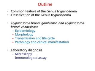 Outline
• Common feature of the Genus trypanosoma
• Classification of the Genus trypanosoma
• Trypanosoma brucei gambiense and Trypanosoma
brucei rhodesiense
– Epidemiology
– Morphology
– Transmission and life cycle
– Pathology and clinical manifestation
• Laboratory diagnosis
– Microscopy
– Immunological assay
 