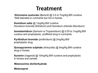 Homidium Trypanosomes- MLT.ppt which causes sleeping sickness and chagas disease ...