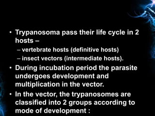 • Trypanosoma pass their life cycle in 2
hosts –
– vertebrate hosts (definitive hosts)
– insect vectors (intermediate host...