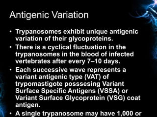 Antigenic Variation
• Trypanosomes exhibit unique antigenic
variation of their glycoproteins.
• There is a cyclical fluctu...