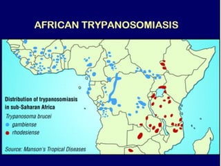 Understanding Trypanosomiasis and causes