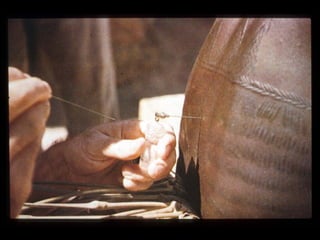 Understanding Trypanosomiasis and causes