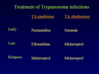 Understanding Trypanosomiasis and causes