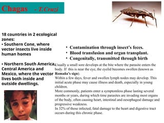 Distribution
18 countries in 2 ecological
zones:
• Southern Cone, where
vector insects live inside
human homes
• Northern South America,
Central America and
Mexico, where the vector
lives both inside and
outside dwellings.
Chagas
Transmission
Parasites are transmitted to humans in 3 ways:
• Contamination through insect’s feces.
• Blood transfusion and organ transplant.
• Congenitally, transmitted through birth
Usually a small sore develops at the bite where the parasite enters the
body. If this is near the eye, the eyelid becomes swollen (known as
Romaña’s sign).
Within a few days, fever and swollen lymph nodes may develop. This
initial acute phase may cause illness and death, especially in young
children.
More commonly, patients enter a symptomless phase lasting several
months or years, during which time parasites are invading most organs
of the body, often causing heart, intestinal and oesophageal damage and
progressive weakness.
In 32% of those infected, fatal damage to the heart and digestive tract
occurs during this chronic phase.
- T.Cruzi
 