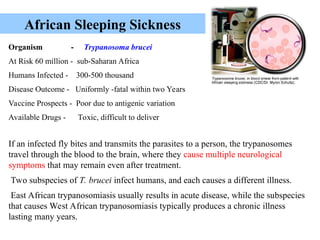 Organism - Trypanosoma brucei
At Risk 60 million - sub-Saharan Africa
Humans Infected - 300-500 thousand
Disease Outcome - Uniformly -fatal within two Years
Vaccine Prospects - Poor due to antigenic variation
Available Drugs - Toxic, difficult to deliver
If an infected fly bites and transmits the parasites to a person, the trypanosomes
travel through the blood to the brain, where they cause multiple neurological
symptoms that may remain even after treatment.
Two subspecies of T. brucei infect humans, and each causes a different illness.
East African trypanosomiasis usually results in acute disease, while the subspecies
that causes West African trypanosomiasis typically produces a chronic illness
lasting many years.
African Sleeping Sickness
 