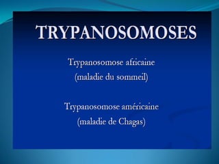 Trypanosomoses africaine et américaine (2)