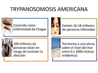 TRYPANOSOMOSIS AMERICANA
Conocida como
enfermedad de Chagas
Existen 16-18 millones
de personas infectadas
100 millones de
personas están en
riesgo de contraer la
afección
Territorios a una altura
sobre el nivel del mar
entre 0 y 1800 m(área
endémica)
 