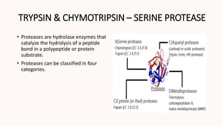 TRYPSIN & CHYMOTRIPSIN – SERINE PROTEASE
• Proteases are hydrolase enzymes that
catalyze the hydrolysis of a peptide
bond in a polypeptide or protein
substrate.
• Proteases can be classified in four
categories.
 